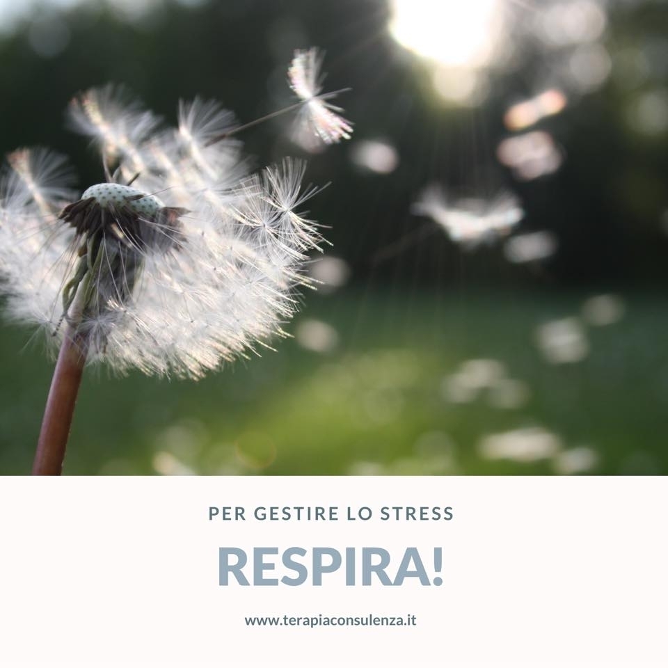 Per gestire lo Stress: Respira! | Mindfulness - Dott.ssa Loredana Ricchi 