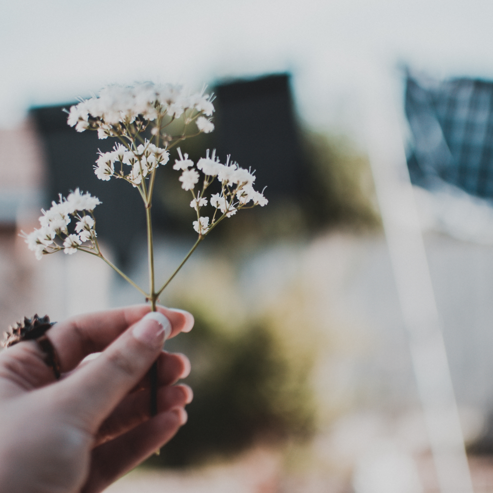 Piccole cose - La Psicologa delle Ragazze